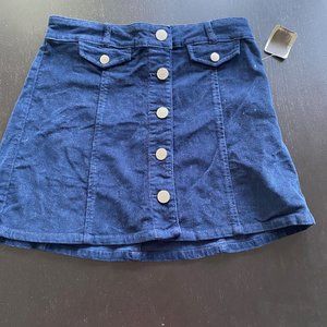 BDG/Urban Outfitters - Size 4 Blue Corduroy Skirt